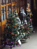 christmas tree festival